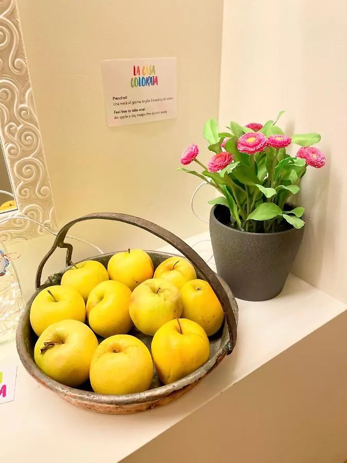 La Casa Colorata - Flats In Milan - Bocconi Apartment Italy